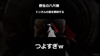 野生の八尺様トンネルの霊を瞬殺するｗｗｗ