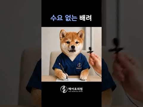MZ 환자 #ai #강아지 #dog