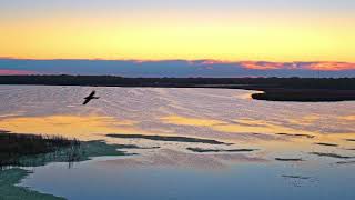 Sunrise Oct 19 2025 7:35AM #drone #fall #relaxing #4k #asmr
