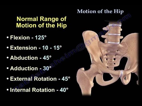 Anatomy of Movement Of The Hip - Everything You Need To Know - Dr. Nabil Ebraheim