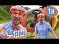 Learn And Fly Helicopters In Hawaii Blippi Vehicles Learning Videos For Kids
