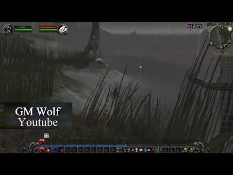 Aufschlitzen Rune | Lacerate Rune | Nachtelf Druide Rune | WoW Season of Discovery