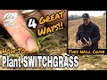 4 EZ Ways To Plant Switchgrass