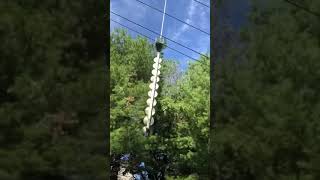 Helicopter tree line trimming