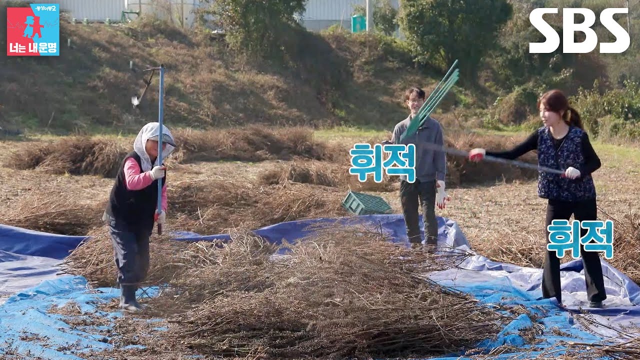 “한 번만 봐 드린 거예요” 천혜린, 급하게 성사된 시어머니와 도리깨질 대결 결과에 아쉽↘