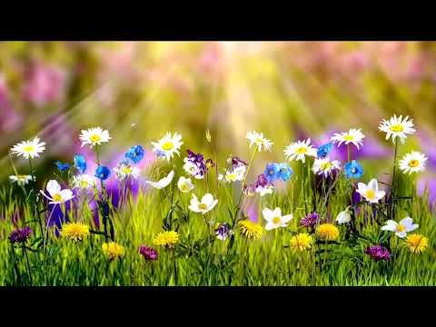 MEDITACIJA ZA TINEJDŽERE