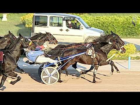 Aversa trotto 24 Marzo 2021 - 7° Corsa