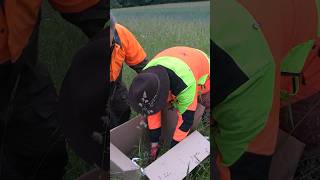 Warum man auch in solch einer schwierigen #Kitzretter Saison weiter fliegen sollte❓#copterpro #short