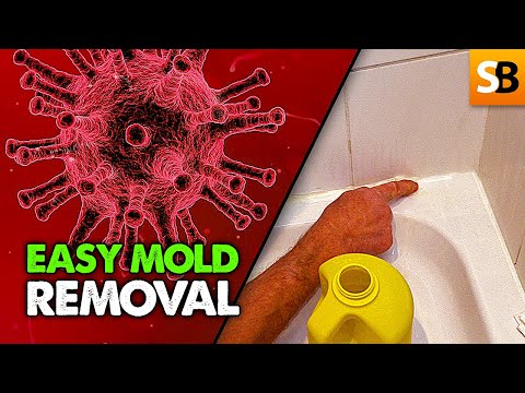 How to Remove Ugly Black Mould from Shower Silicone