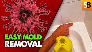 Shower Mold Removal - Super Easy Cleaning Hack