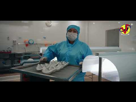 DVSS | EDIBLE BIRD'S NEST PRODUCTION