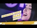Madison Beer - Dead (Acoustic) // Live Session // Bremen NEXT
