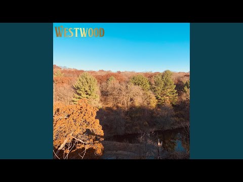 Miss Today - Westwood