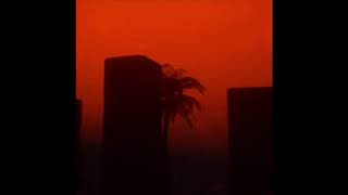 (𝕤𝕝𝕠𝕨𝕖𝕕) 𝕨𝕒𝕜𝕖 𝕦𝕡 𝕒𝕝𝕠𝕟𝕖 - 𝕒𝕞𝕪 𝕨𝕚𝕟𝕖𝕙𝕠𝕦𝕤𝕖 | 𝕒𝕔𝕠𝕦𝕤𝕥𝕚𝕔