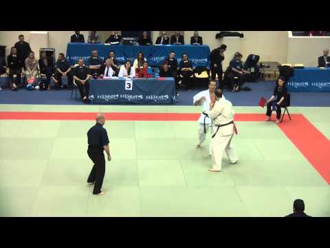 Ali Zeghbab Vs Romain Gentile 1/2 finale +90kgs Coupe de France 2015 Kyokushinkai