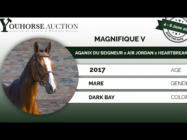 Magnifique V