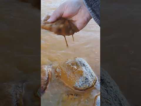 Unión de los Ríos   Chilecito La Rioja #shorts