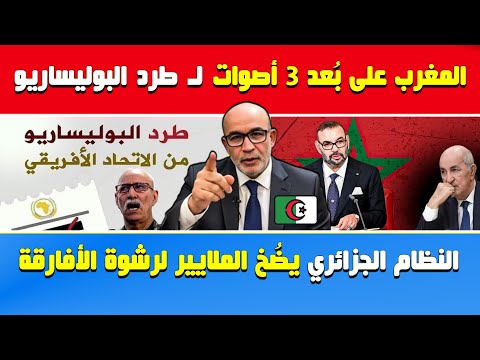 العربي زيتوت🔥استنفار جزائري..3 أصوات تفصِل المغرب على طرد البوليساريو ..العسكر يضُخ الملايير لرشوة..