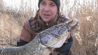 Ссылка