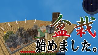 【ゼロ天】#3　日本の心、盆栽を始めました、、、【Minecraft】【skyfactory4】
