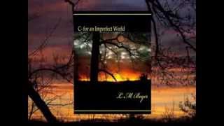 C- for an Imperfect World book trailer