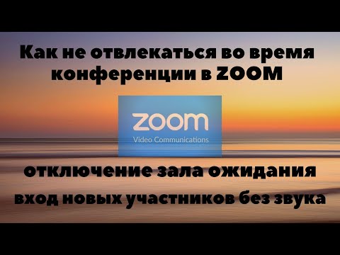 Как отключить зал ожидания в zoom. Как не отвлекаться на отключение микрофона. Настройки приватности
