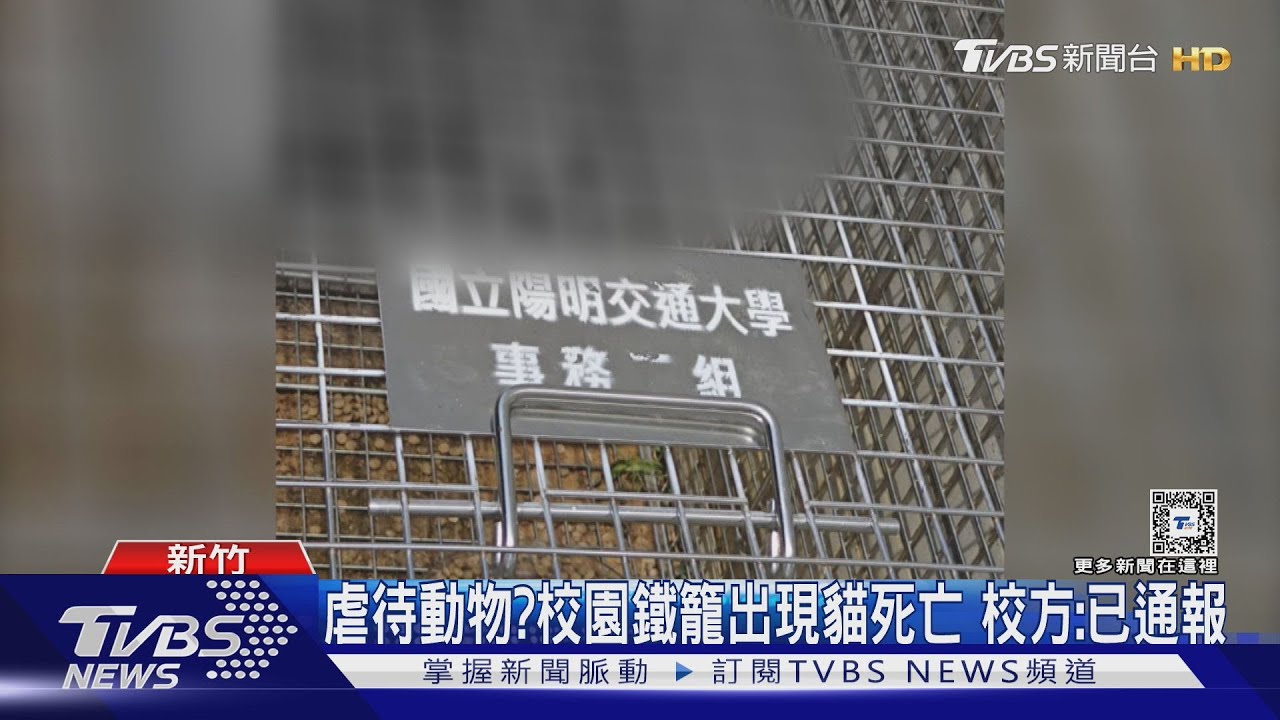 虐待動物?校園鐵籠出現貓死亡 校方:已通報