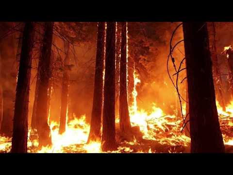 There is not plan-et B