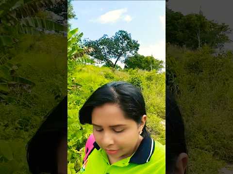 mi lugar favorito, la naturaleza. Autana estado Amazonas #venezuela