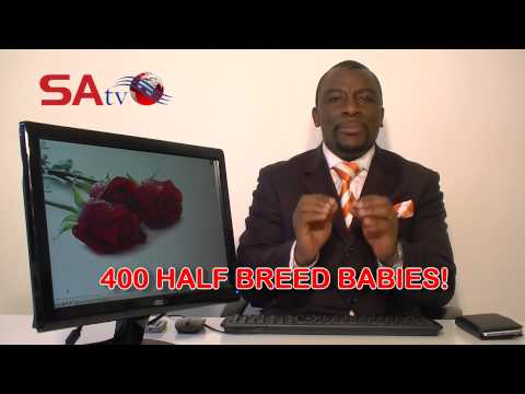 Tyrones Quirky Wedding Wishes