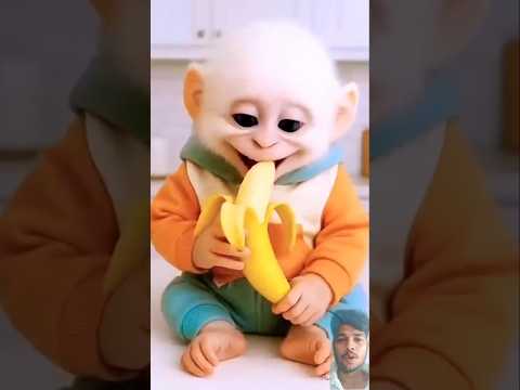I fed bananas to the monkey 🥰 #shorts #tiktokvideo #funnyshorts #comedy #Bandar