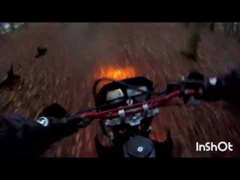 Yamaha Dt 125  & Beta alp 125 ||Moto Dziki