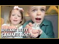 "GAAT HAMSTER SAMMiE BiNNENKORT DOOD?" ?? | Bellinga Vlog #2061