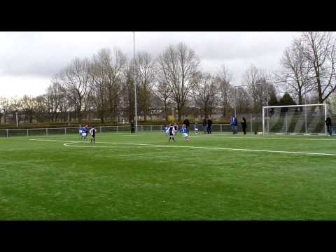 VVZA F2 - Merino's F1