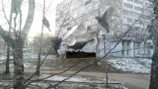 Птушкі ля кармушкі або Паўгадзіны з жыцця Паркавай вуліцы