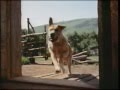 Opening To Johnny Tremain 1997 VHS