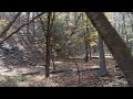 Favorite Part Of Lakeside Trail At Bays Mountain