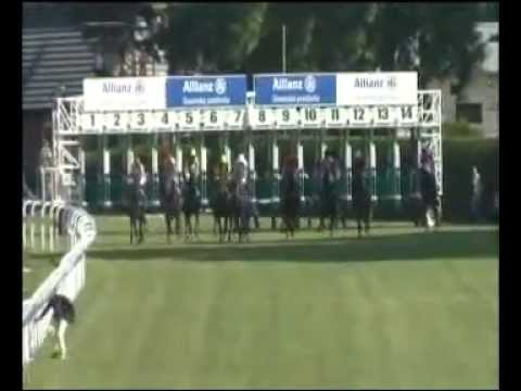 2015.06.07 Starohájske kritérium (SVK) - Aldar