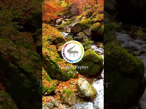 【〜Tranquil Zephyr（風雅ノ詠）〜】　#piano #ballad #crossover #peacefulpiano #jazzflavor #gagaku #shorts