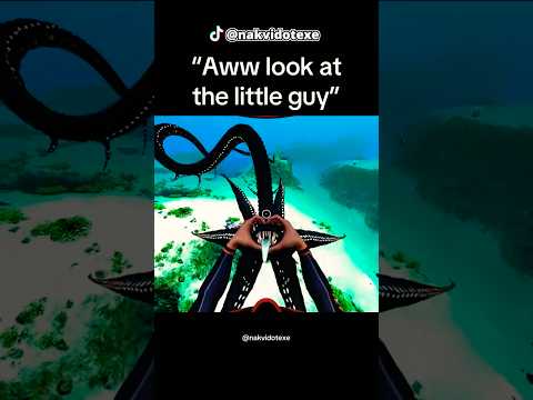 It’s literally so adorable 🥹🐉