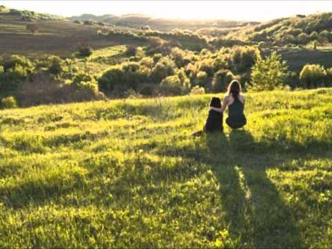 Chris Martin- Diese Tage { Ich liebe diese Tage }