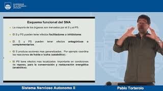 Sistema nervioso autónomo (Parte 2) - Neurobiología