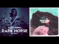 Dark Gasoline · Katy Perry vs. Halsey