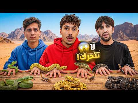 EGi Squad and 5 more