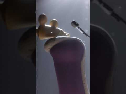 SINGER KINGER (The Amazing Digital Circus / TADC Animation)