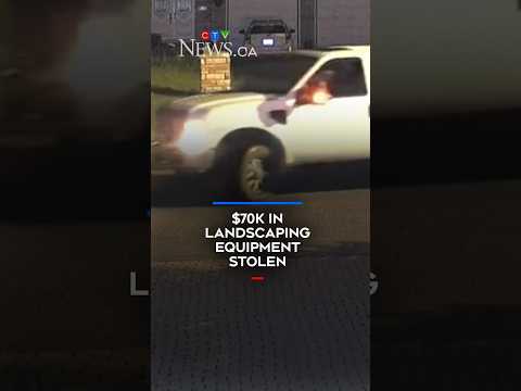 Hctra Org Violations