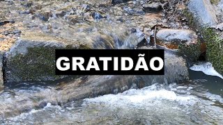 GRATIDÃO - SINTA A PAZ INTERIOR PRESENTE EM VOCÊ
