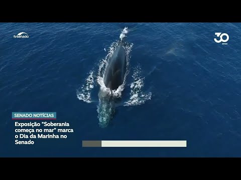 Mostra 'Soberania começa no mar' fica aberta até 12 de junho no Senado