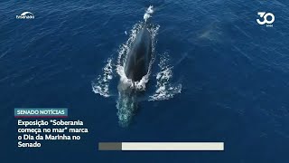 Mostra 'Soberania começa no mar' fica aberta até 12 de junho no Senado