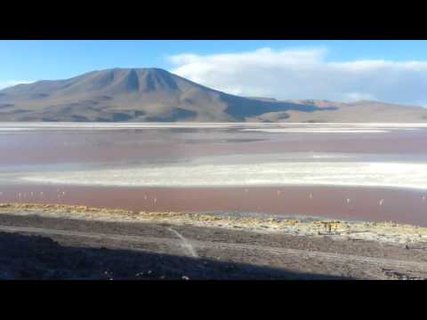 Laguna Colorado, Salar de Uyuni, Bolivia